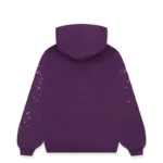 STAR OG WEB V2 HOODIE Sp5der